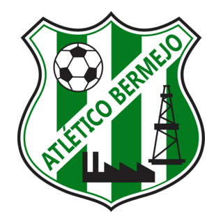 Club Atlético Bermejo De San Juan