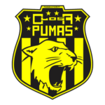 Club Atlético Los Pumas De Chimbas San Juan Logo Transparent PNG