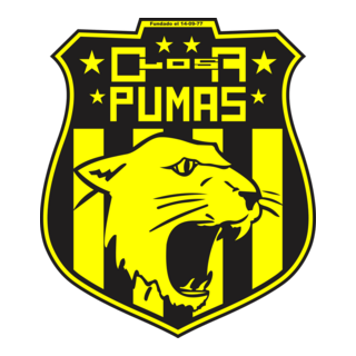 Club Atlético Los Pumas De Chimbas San Juan