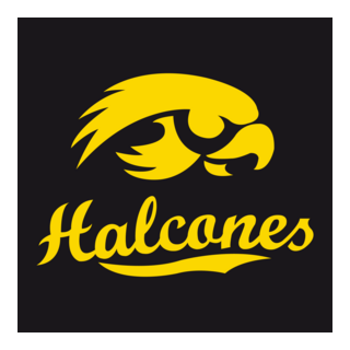 Club Halcones