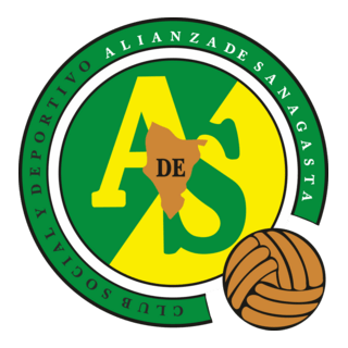 Club Social Y Deportivo Alianza De Sanagasta