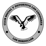 Club Social Y Deportivo Los Condores Logo Transparent PNG