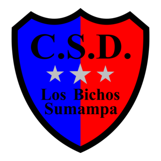 Club Social Y Deportivo Los Pichos