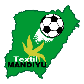 Club Social Y Deportivo Textíl Mandiyú