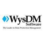 Wysdm Software Logo Transparent PNG
