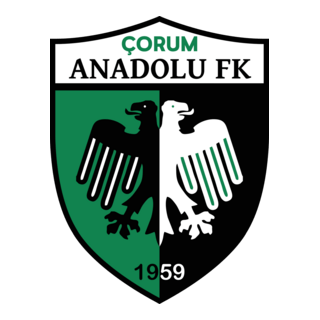 Çorum Anadolu FK