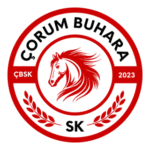 Çorum Buharaspor Logo Transparent PNG