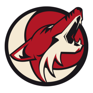 Coyotes Saltillo Hockey