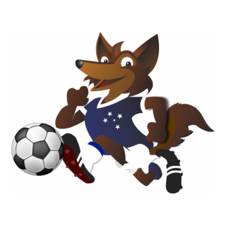 Cruzeiro EC Raposa