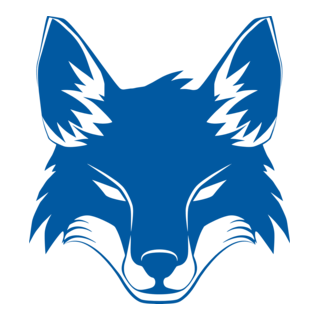 Cruzeiro Esporte Clube Raposa