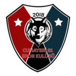 Cumayeri 81 Spor Logo Transparent PNG