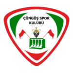 Çüngüş Spor Logo Transparent PNG