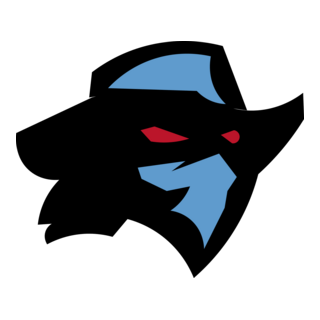 Dallas Renegades XFL