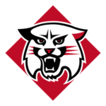 Davidson Wildcats Logo Transparent PNG
