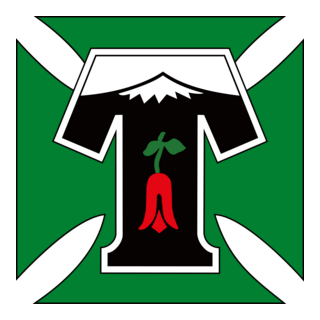 Deportes Temuco
