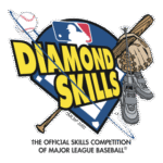 Diamond Skills Logo Transparent PNG