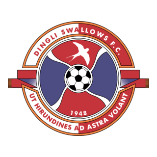 Dingli Swallows FC