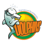 Dolphins Logo Transparent PNG