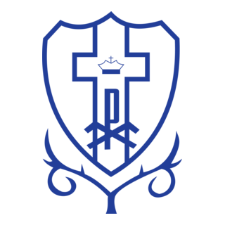 Dom Bosco Futebol Clube De Tres Lagoas-ms