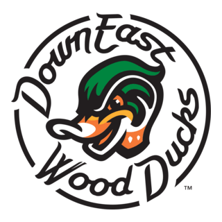 Down East Wood Ducks