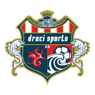 Draci Sports Soccer