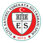 EŞMEKAYA SULTANHANI SPOR Logo Transparent PNG