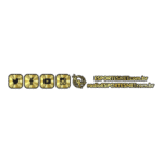 ESPORTESNET Redes Sociais Logo Transparent PNG