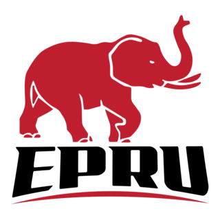 Eastern Province Elephants