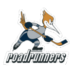 Edmonton Roadrunners Logo Transparent PNG
