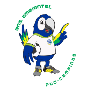Eng. Ambiental Puc-campinas