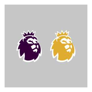 English Premier League Sleeve Patch Jersey