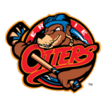 Erie Otters Logo Transparent PNG