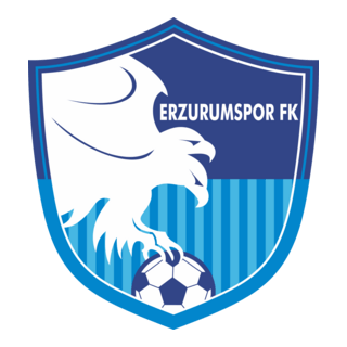 Erzurumspor FK