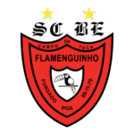 Esportiva Flamenguinho Logo Transparent PNG