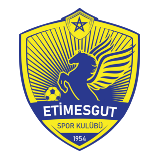 Etimesgut Spor Kulübü