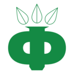 FK Fosforit Kingisepp Logo Transparent PNG