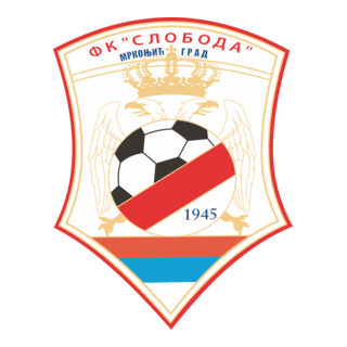 FK Sloboda Mikronjic Grad