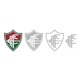 FLUMINENSE DE FEIRA