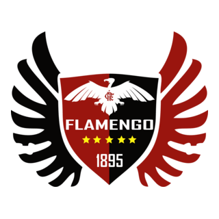 Flamengo 1895