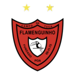 Flamenguinho Logo Transparent PNG
