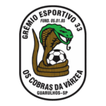 GRÊMIO ESPORTIVO 33 GUARULHOS Logo Transparent PNG