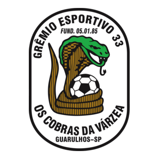 GRÊMIO ESPORTIVO 33 GUARULHOS