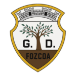 GRUPO DESPORTIVO DE VILA NOVA DE FOZ CÔA Logo Transparent PNG