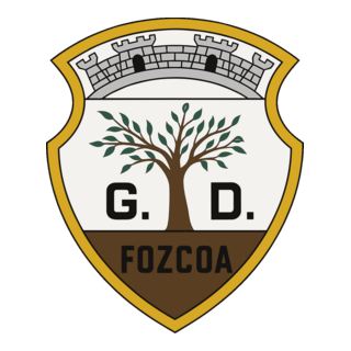 GRUPO DESPORTIVO DE VILA NOVA DE FOZ CÔA