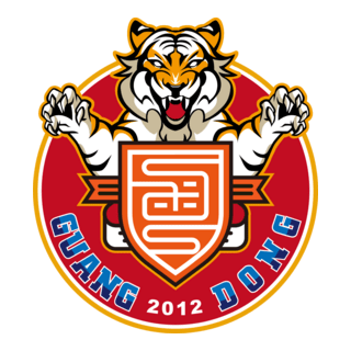 GUANGDONG SOUTH CHINA TIGER FOOTBALL CLUB