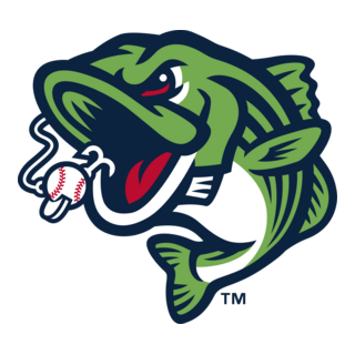 GWINNETT STRIPERS