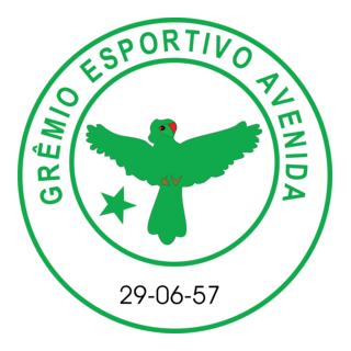 Gremio Esportivo Avenida De Soledade