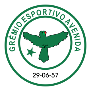 Gremio Esportivo Avenida De Soledade-rs