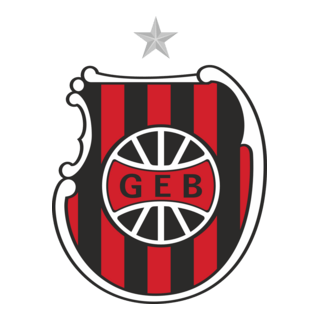Grêmio Esportivo Brasil Pelotasrs