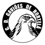 Grupo Desportivo Gaviões De Hortelã Logo Transparent PNG